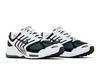 Nike Air Peg 2K5 White Vintage Green (Women's)
