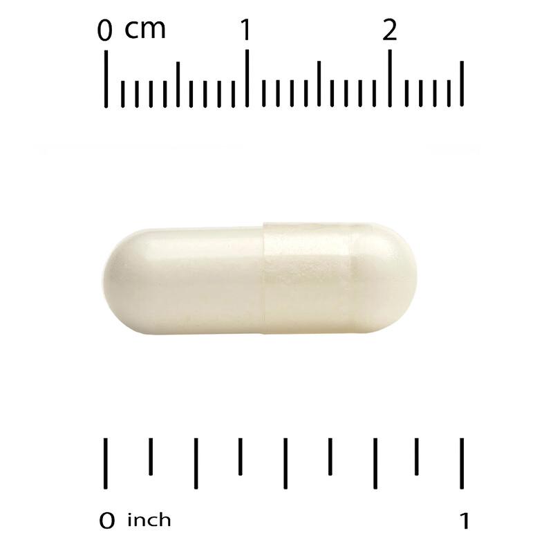 Sport, Creatine Monohydrate, 750 mg, 240 Veggie Capsules