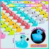 10/20Pcs Luminous Mini Resin Flamingo Ducks Glow In The Dark Flamingos Tiny Animal Figures Diy Crafts For Fairy Garden Micro