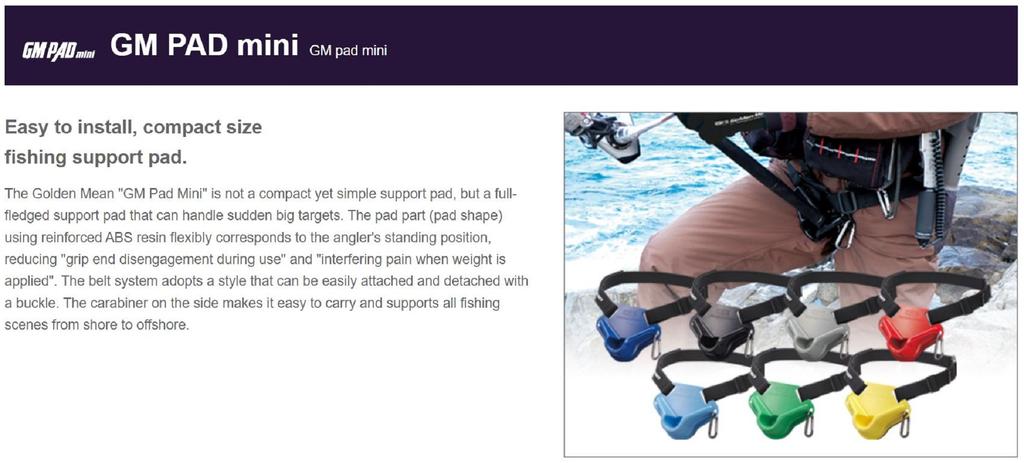 Golden Mean Fighting Pad Mini Черный (3371)