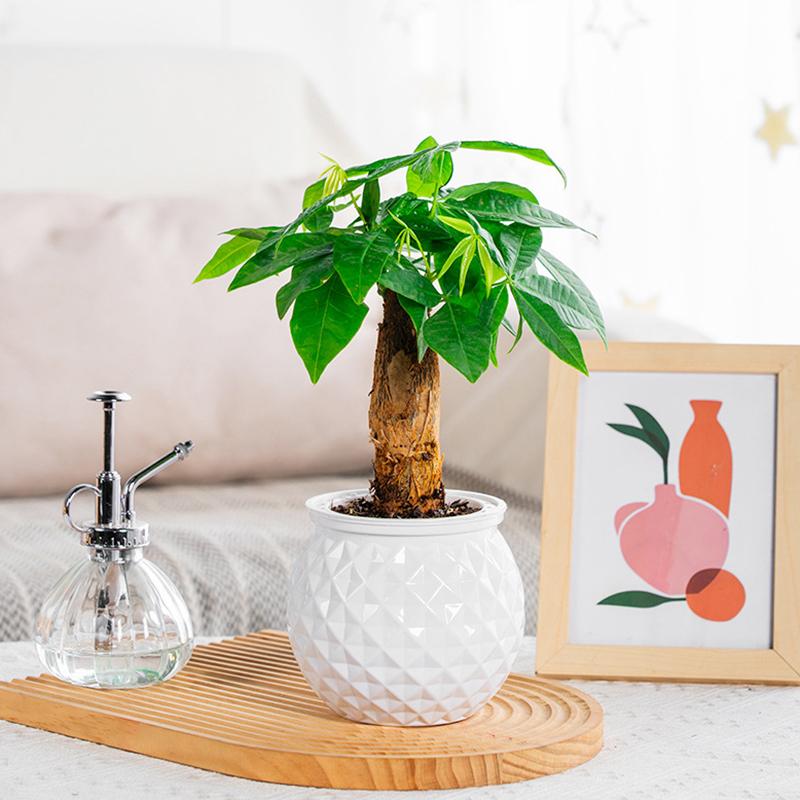 Мини-горшок для цветов с самополивом, аквариум, прозрачные пластиковые горшки для растений, самополивной горшок для растений, ваза для украшения дома