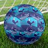 Tottenham Crest Design Printed Size 5 Soccer Balls, High-Quality, Anti-Slip, Protective Football, A Unique Gift , Birthdays, Christmas Gifts