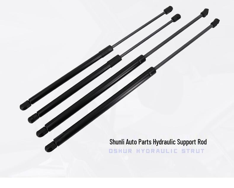 Trunk Hydraulic Rod for Baojun 730, 560, 630, 610, 510, 310w Rear Tailgate