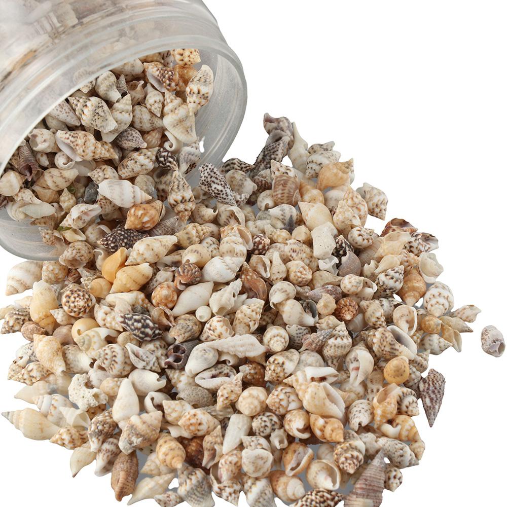 1500 шт. спиральных ракушек, морские ракушки, 1500 шт. подвесок-шармов из смешанных ракушек, пляжная тематическая вечеринка