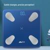 Xiangshan Smart High-Precision Body Fat Scale