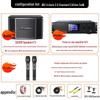 SANSUI SQ209 Home KTV Audio System CN plug (adapter included) (CN version)