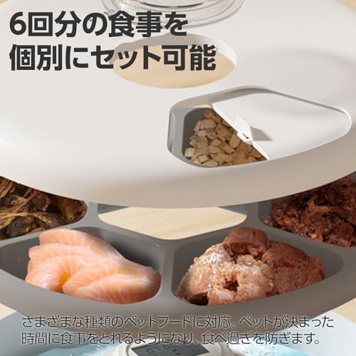 Bricia Automatic Wet Food Feeder with Timer and Battery Operation, for Cats, Dogs, and Small Pets, Suitable for Multiple Pets, Includes a Removable an