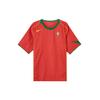 Nike Португалия 2004 Переиздание Мужская копия футбольной формы Nike HF6851-614