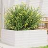 VidaXL Planter White 60x60x23 Cm Solid Pine Wood, Outdoor Planter, Flower Box, Plant Box, Planter of 847189