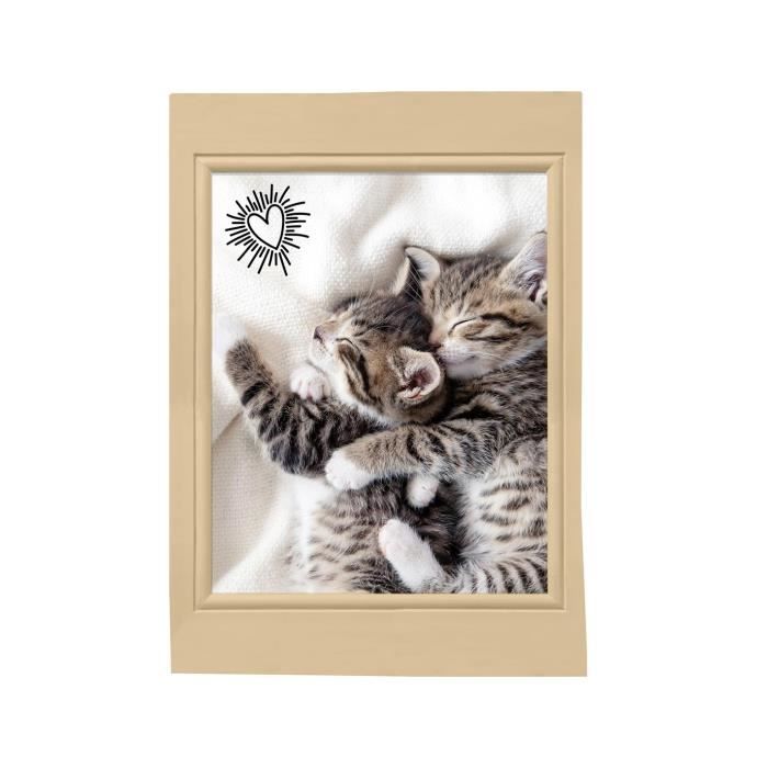 Torchons - Chats Choupinou - Lot de 3 - 100% Coton - 50x70cm - Lavable à 40°