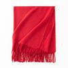 Cashmere Feel Scarf Autumn and Winter Korean Imitation Cashmere Girls High End Shawl Warm Scarf