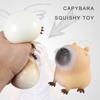 Soft Stretchy Capybara Squeeze Splashing Toy for Decompress Office TPR Balls Relaxation Toy Stress Reliever for Students