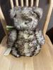 [USED] Herman Plush Teddy Bear Little Old Max