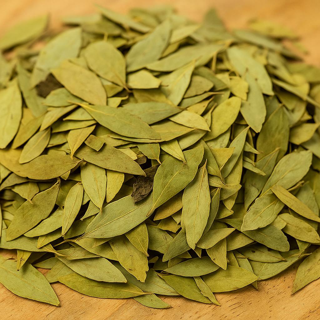 Senna Maki Leaves 200g XXL – Alexandrian Senna Whole Leaves – Powerful Natural Laxative & Colon Cleanse – Herbal Detox Tea