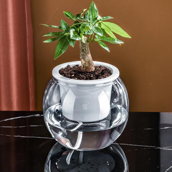 Аквапонный аквариум для рыбок петушков Прозрачный пластиковый ударопрочный горшок Экосистема Аквариум Настольная аквапонная система для домика рыбок петушков Комнатные растения