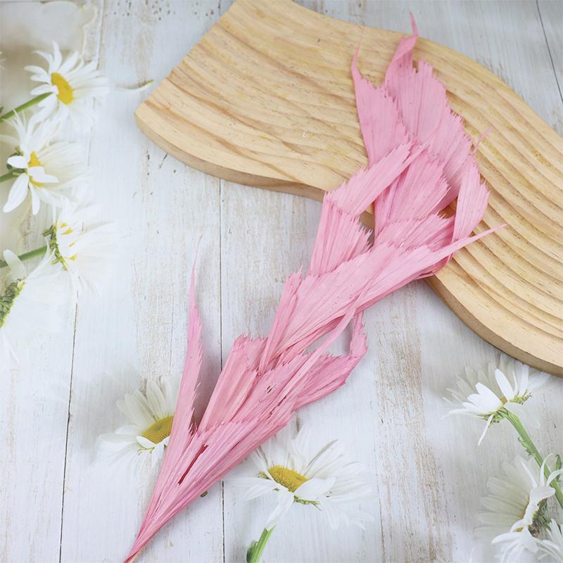 DIY Floral Art Ornament: Preserved Tangerine & Fishtail Leaf, Lily, Bamboo Dried Flowers – Ikebana Photo Prop for Home Décor.