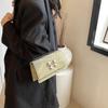 Chic Street Style Chain Shoulder Bag Fashion Trendy Small Square Bag For Women
