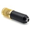 Professional BM 800 karaoke microphone BM800 studio condenser mikrofon mic bm-800 For KTV Radio Braodcasting Singing Recording