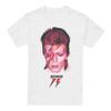 Мужская футболка David Bowie Aladdin Sane '75