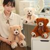 Cute Cute Bow Tie Teddy Bear Doll Plush Toy Sitting Bear Hugging Bear Doll Children's Doll Doll