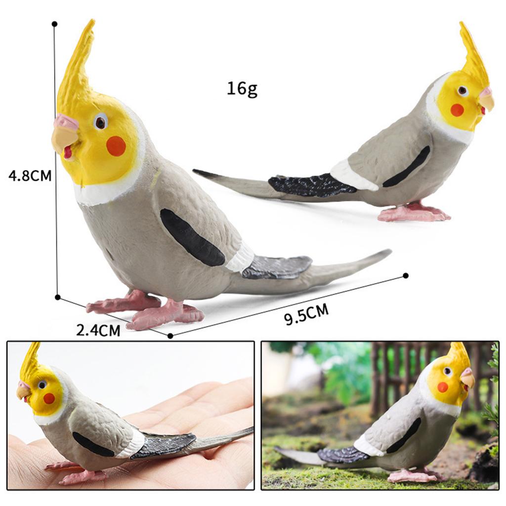 Simulation Parrot Figurine Bird Animal Sculpture for Micro Landscape DIY Landscaping Bath Toys Party Favors Cake Toppers