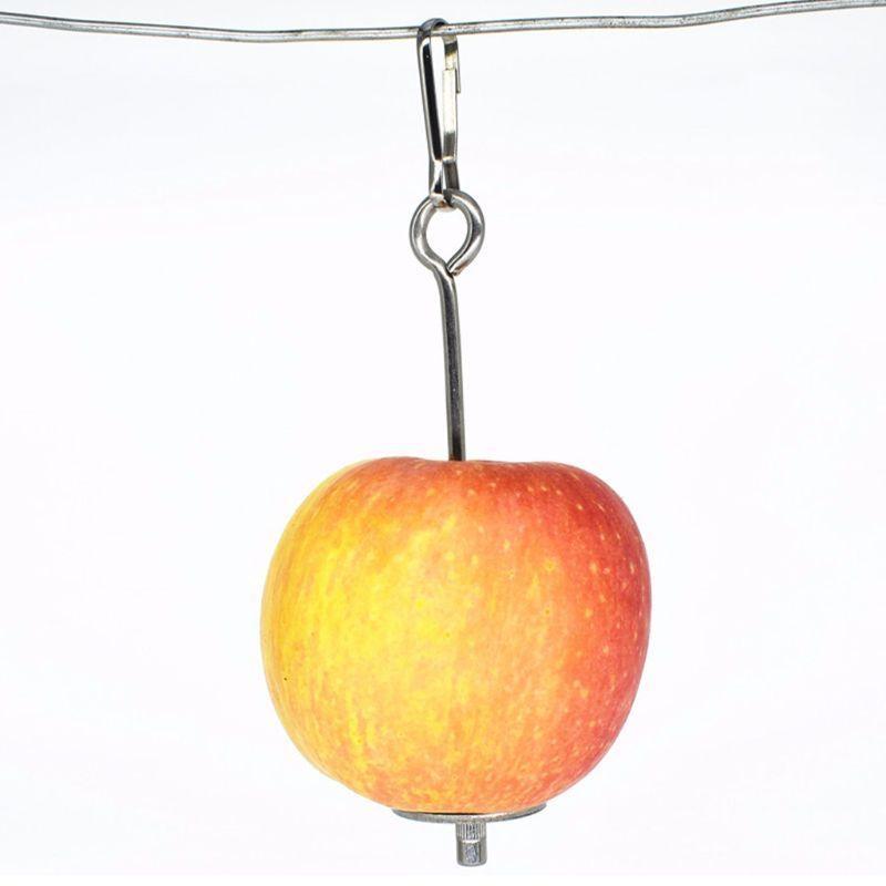 Feed Treating Bird Treat Skewer Small Large Size Birds Hanging Foods Skewer