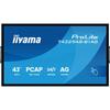 IIYAMA IIYAMA 43' LED