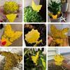 Желтая липкая ловушка для насекомых в форме бабочки, двухсторонняя, для садов