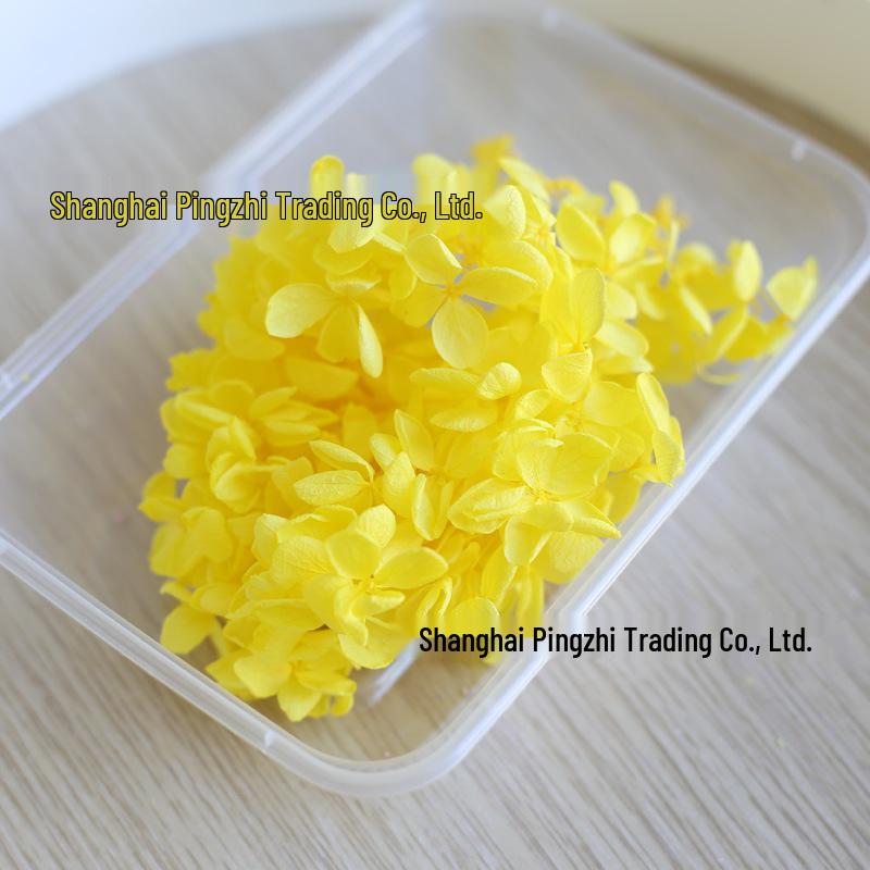 Dried Real Flowers & Materials: Pine Cones, Acorns, Cotton, Adhesives, Sunflowers - DIY Scented Floral Decor & Photography Props