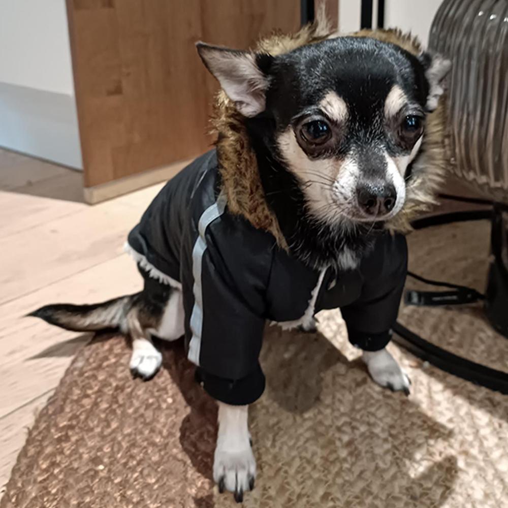 Зимняя одежда для домашних животных, водонепроницаемая куртка для собак для маленьких и средних собак, теплый костюм для щенков, наряды для французского бульдога, светоотражающая куртка, одежда для чихуахуа