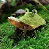 Frog Turtle Sweater Knitted Pet Turtle Outfit Fashion Pet Tortoise Clothes  Pet Costume