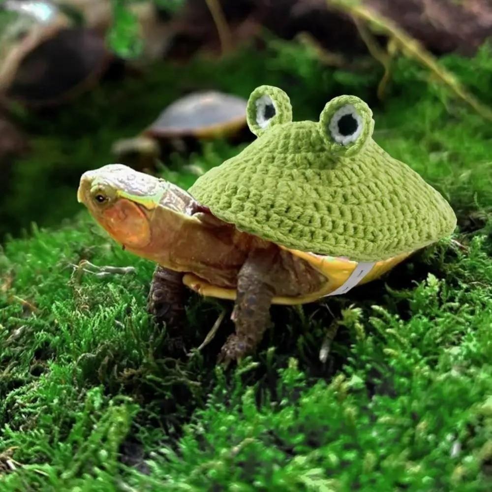 Frog Turtle Sweater Knitted Pet Turtle Outfit Fashion Pet Tortoise Clothes Pet Costume