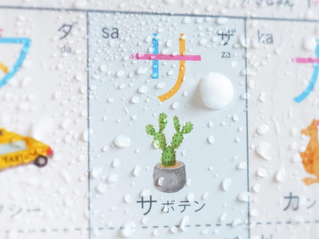 Katakana Stroke Order Chart Stroke Order Enchante's [KATAKANA CHART] Waterproof, A2,