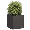 VidaXL Planter Black 40x40x40 Cm Cold-rolled Steel, Flower Pot, Plant Stand, Raised Bed, Support of 860661