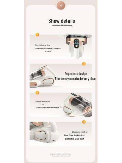 Ultrasonic Mite Removal Vacuum with UV Sterilization and Dual Dust Cup
