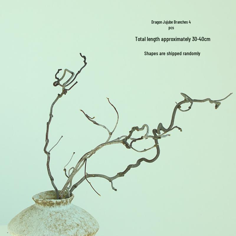 Изогнутые ветки зизифуса (ююбы) для ваби-саби икебаны и дзен-искусства