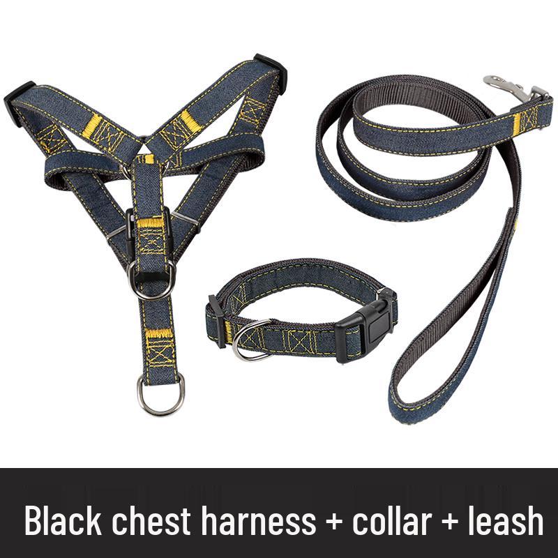 Multi-Size Dog Leash & Collar Set for Walking - Suitable for Small To Large Breeds