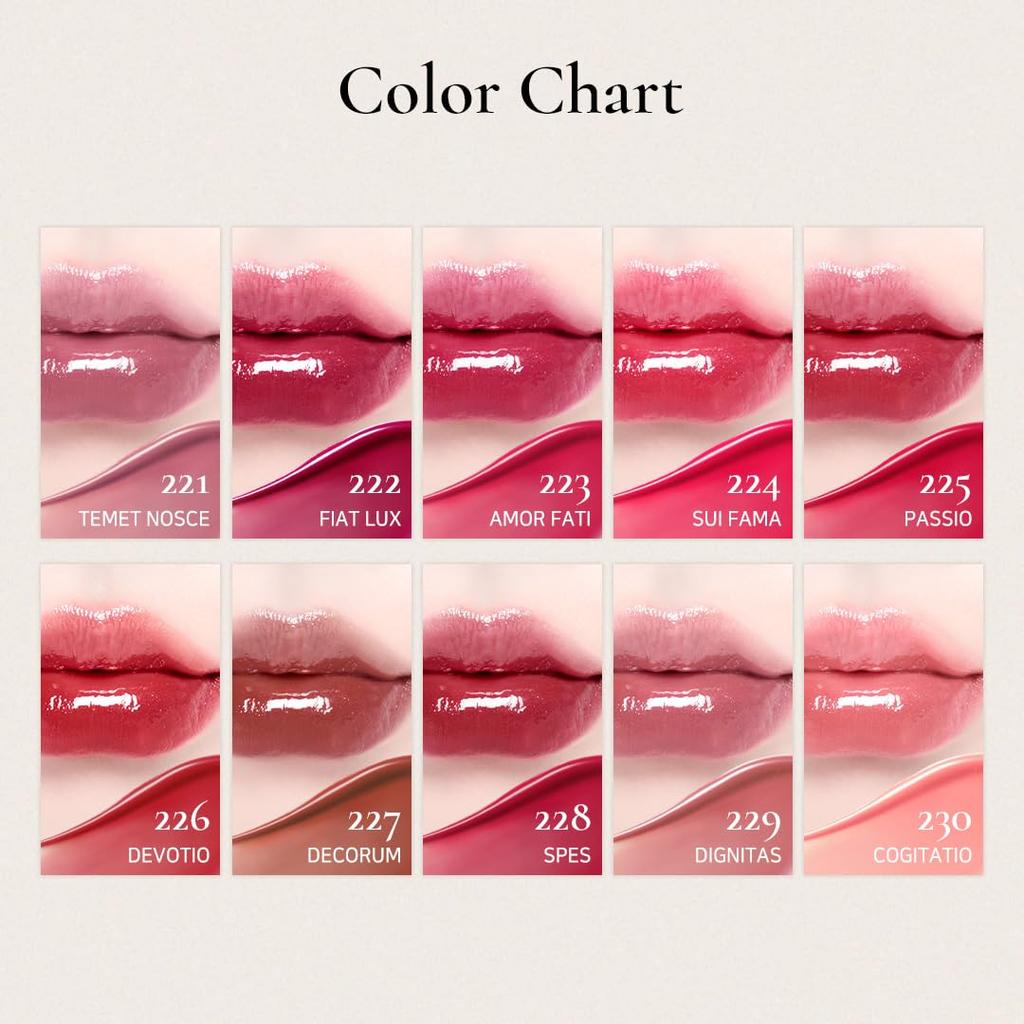 [Dinto Official] Blur Glow Lip Tint 218 Memento Mori Korean Cosmetics