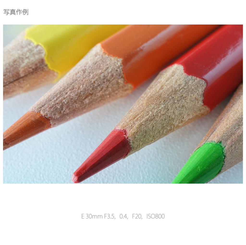 Sony Single Focus Lens E 30mm Macro for Sony E Mount Only SEL30M35 F3.5 APS-C