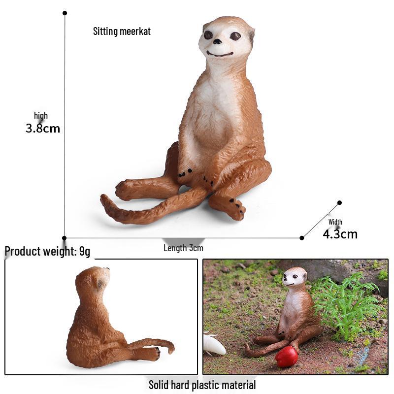 Cute Animal Models: Japanese Raccoon, Flying Squirrel, Monkey, Rabbit, Squirrel, Shiba Inu, Tiger, Lion, Lizard Toy Set