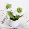 Mini Sunflower & Daisy Potted Bonsai Ornaments for Office Décor