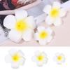 Party Simulation Women Girl Beach Seaside Flower White Plumeria Hairpin Hair Clip