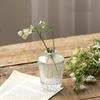 Ins Style Nordic Simple Transparent Flower Pot Table Decorative Hydroponic Terrarium Glass Vase