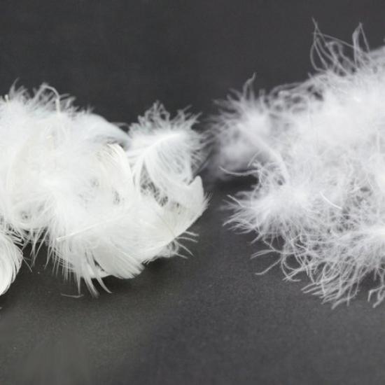 Emur Hotel Specification Feather Pillow Down 43 X 63 Cm Made In Japan "Rich Pillow" Approx.