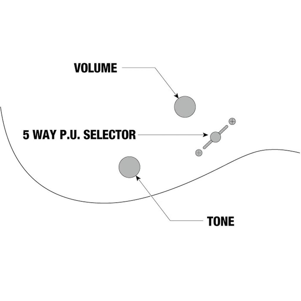 Ibanez RG350ZB Weathered Black Electric Guitar Ibanez / (WK)