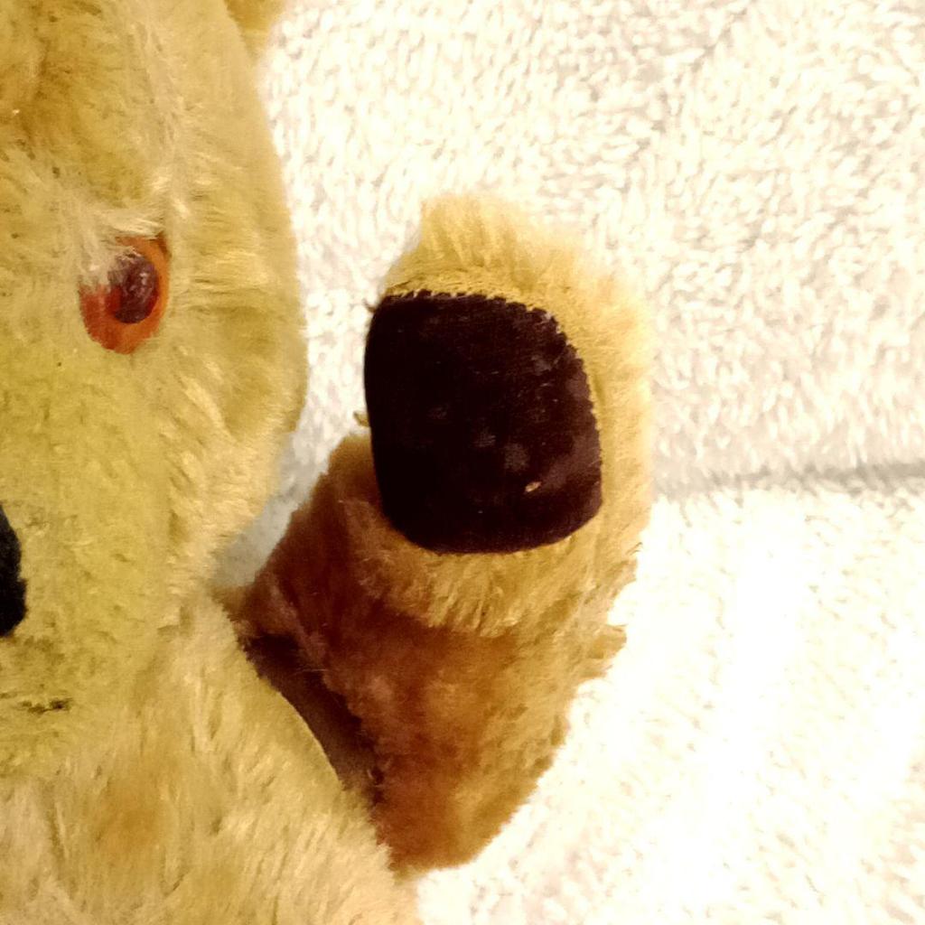 [USED] Pedigree Teddy Bear Vintage Teddy Bear with Bell