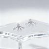 Elegant Sparkling Studs Light Luxury Zircon Earrings Women Star Crystal Earrings  Gifts
