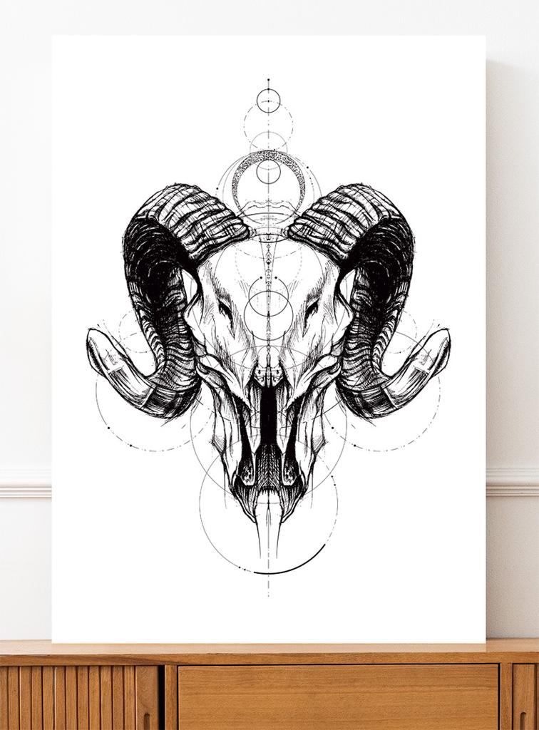 Poster Sketch Skull Geometry