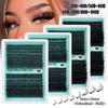 320 Пучков Наборы для наращивания ресниц Beauty Нанесение частной марки Индивидуальный логотип 3D Мягкие Классические Индивидуальные ресницы Наращивание отдельных ресниц