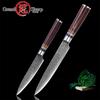 2 Pcs Kitchen Knife Set Slicing Utility Knife Japanese Damascus VG10 Steel Kitchen Knife